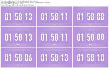 cams-ff_mur-11-17-2025-14-34-29