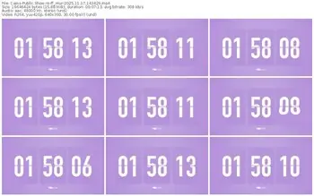 cams-ff_mur-11-17-2025-14-34-29