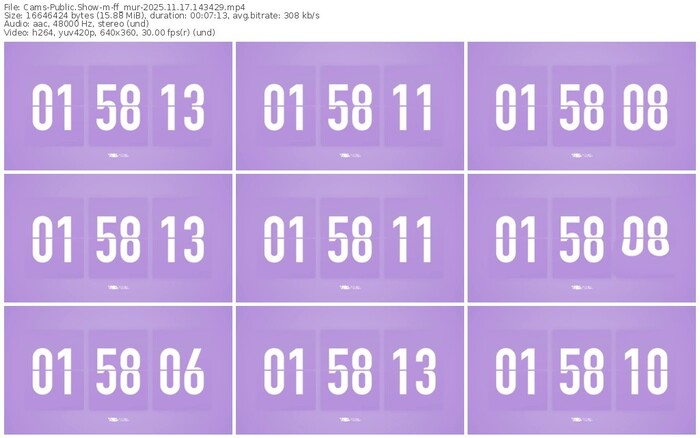 cams-ff_mur-11-17-2025-14-34-29