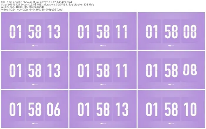 cams-ff_mur-11-17-2025-14-34-29
