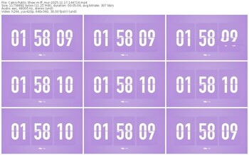 cams-ff_mur-11-17-2025-14-47-14