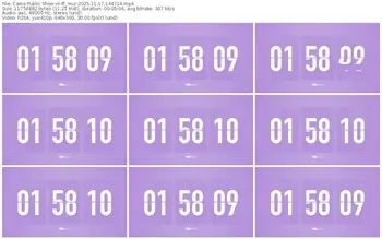 cams-ff_mur-11-17-2025-14-47-14