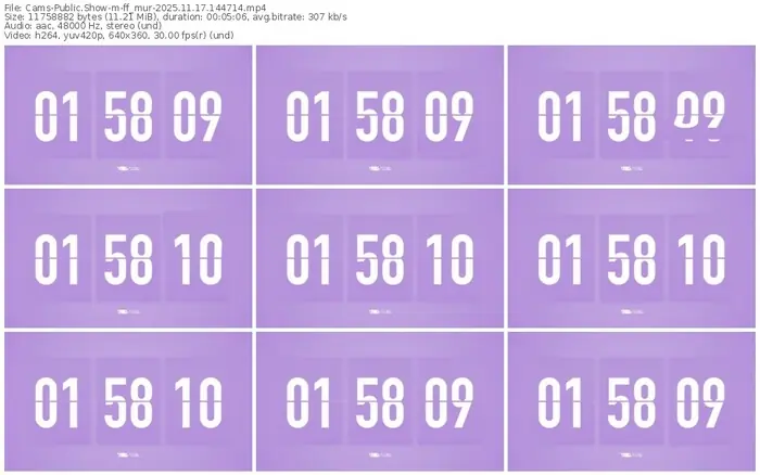 cams-ff_mur-11-17-2025-14-47-14