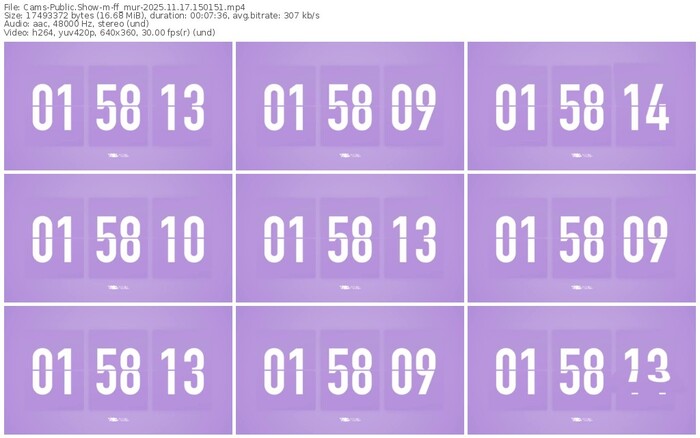 cams-ff_mur-11-17-2025-15-01-51