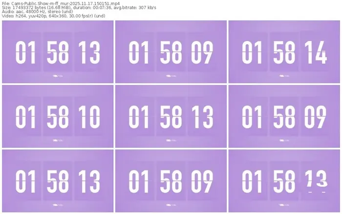 cams-ff_mur-11-17-2025-15-01-51