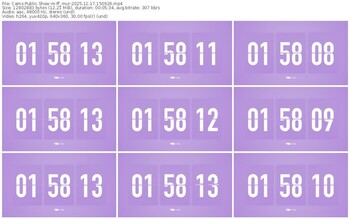 cams-ff_mur-11-17-2025-15-09-26