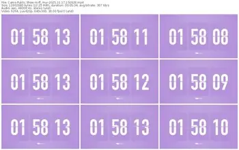 cams-ff_mur-11-17-2025-15-09-26