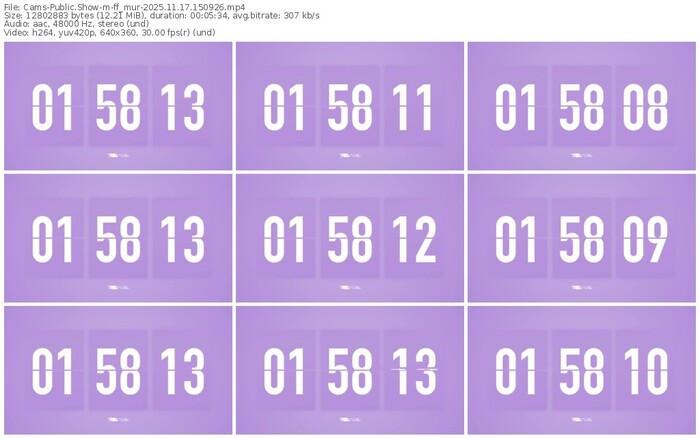 cams-ff_mur-11-17-2025-15-09-26