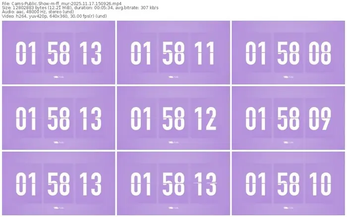 cams-ff_mur-11-17-2025-15-09-26