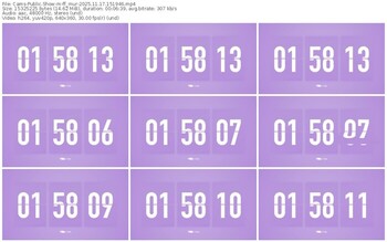 cams-ff_mur-11-17-2025-15-19-46