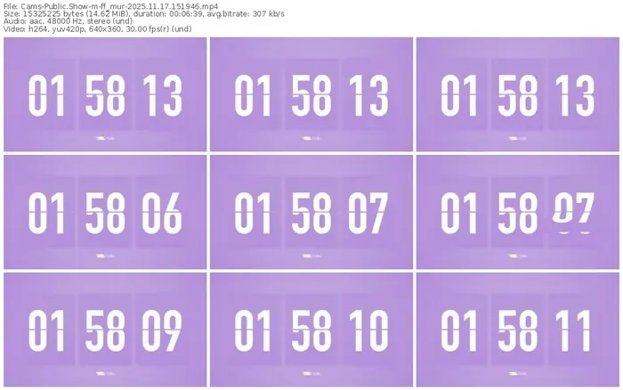 cams-ff_mur-11-17-2025-15-19-46