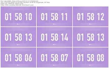 cams-ff_mur-11-17-2025-15-30-46