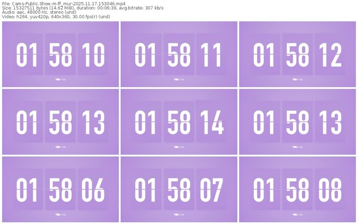 cams-ff_mur-11-17-2025-15-30-46