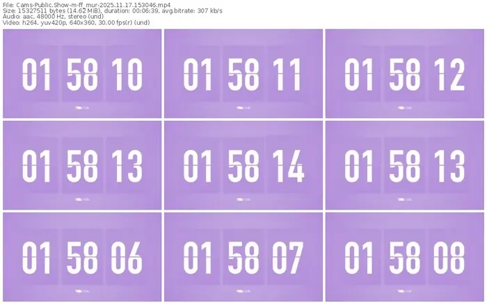 cams-ff_mur-11-17-2025-15-30-46