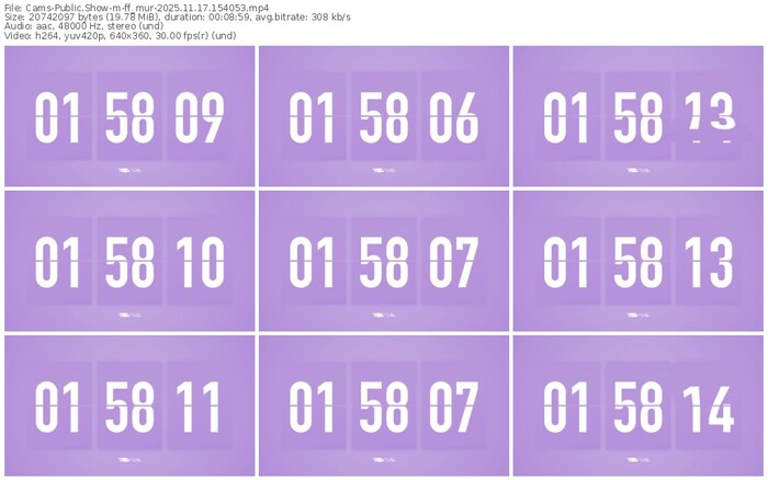 cams-ff_mur-11-17-2025-15-40-53
