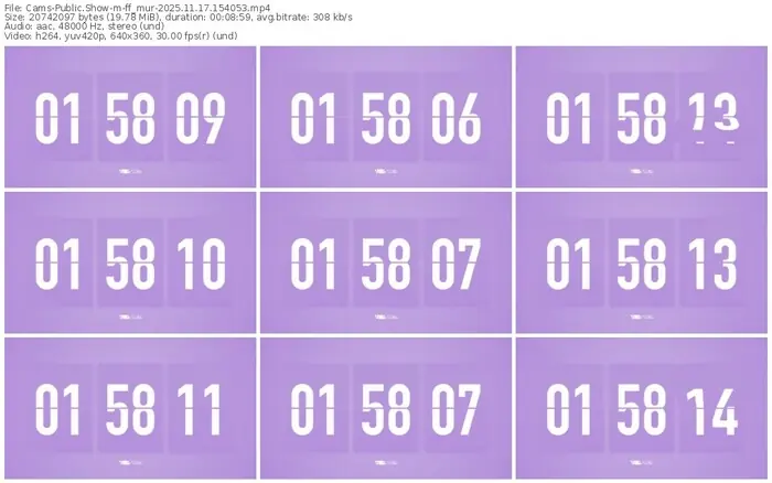 cams-ff_mur-11-17-2025-15-40-53