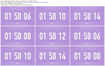 cams-ff_mur-11-17-2025-15-51-22