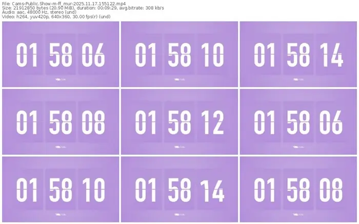 cams-ff_mur-11-17-2025-15-51-22