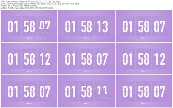 cams-ff_mur-11-17-2025-16-17-11