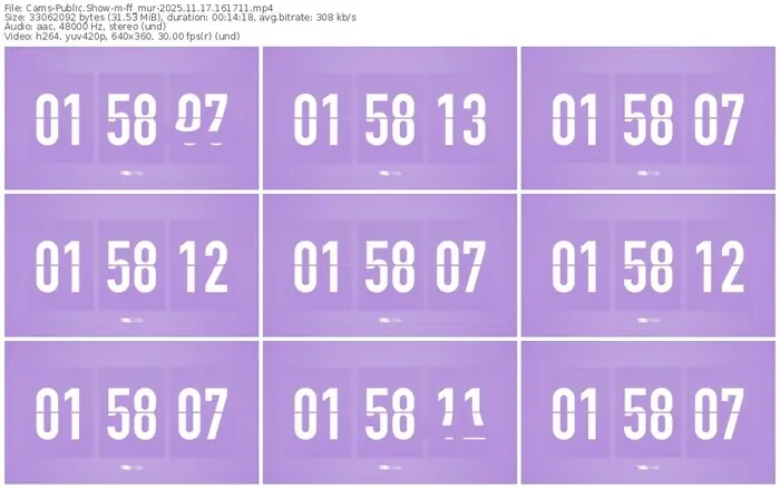 cams-ff_mur-11-17-2025-16-17-11