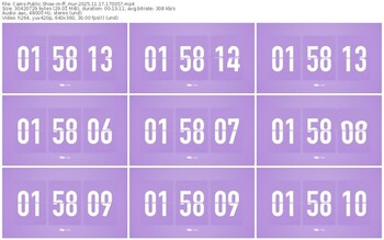 cams-ff_mur-11-17-2025-17-00-57