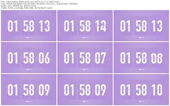 cams-ff_mur-11-17-2025-17-00-57