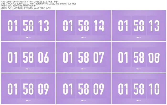 cams-ff_mur-11-17-2025-17-00-57