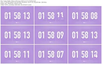 cams-ff_mur-11-17-2025-17-21-59