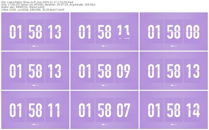 cams-ff_mur-11-17-2025-17-21-59