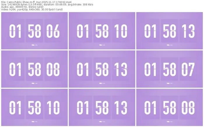 cams-ff_mur-11-17-2025-17-40-32