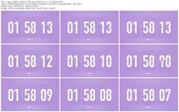 cams-ff_mur-11-17-2025-17-49-29