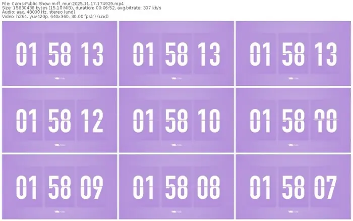 cams-ff_mur-11-17-2025-17-49-29