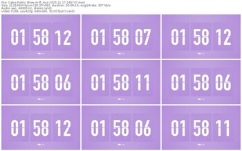 cams-ff_mur-11-17-2025-18-07-47