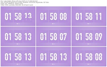 cams-ff_mur-11-17-2025-18-21-18