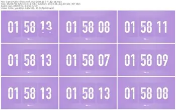 cams-ff_mur-11-17-2025-18-21-18