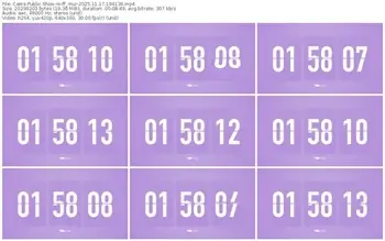 cams-ff_mur-11-17-2025-18-41-36