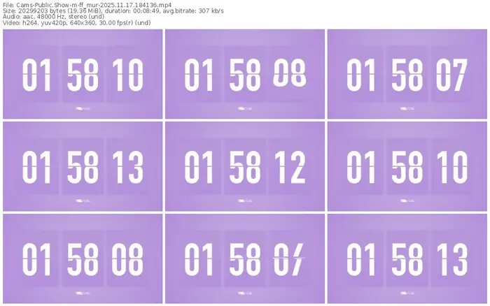 cams-ff_mur-11-17-2025-18-41-36