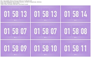 cams-ff_mur-11-17-2025-19-01-26