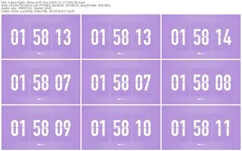 cams-ff_mur-11-17-2025-19-01-26