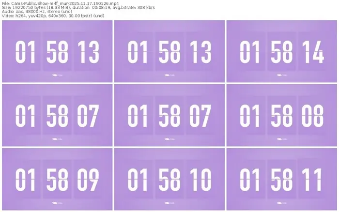 cams-ff_mur-11-17-2025-19-01-26