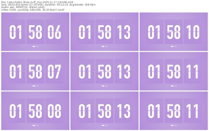 cams-ff_mur-11-17-2025-19-16-46