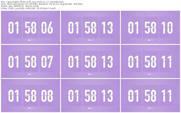 cams-ff_mur-11-17-2025-19-16-46