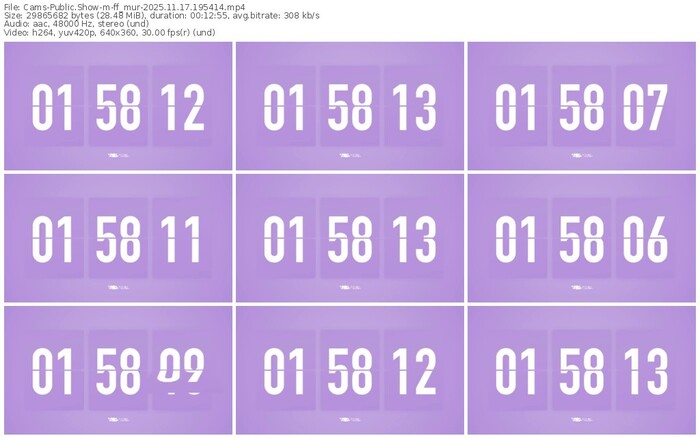cams-ff_mur-11-17-2025-19-54-14