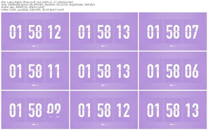 cams-ff_mur-11-17-2025-19-54-14