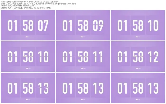 cams-ff_mur-11-17-2025-20-11-25