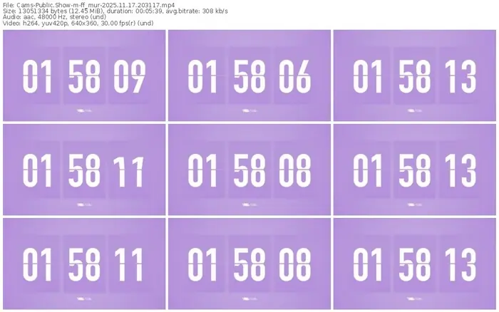cams-ff_mur-11-17-2025-20-31-17