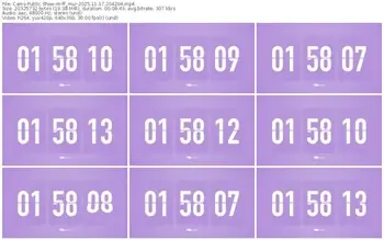 cams-ff_mur-11-17-2025-20-42-04