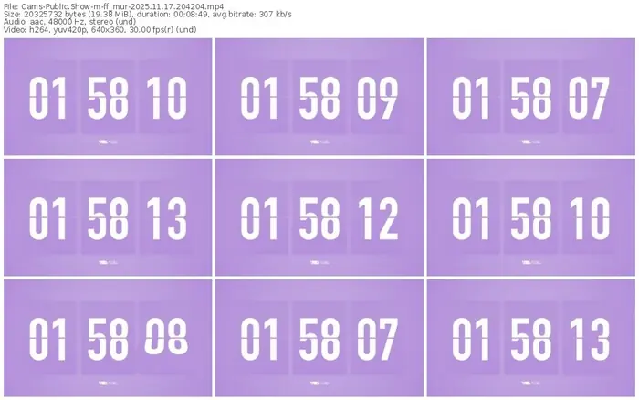 cams-ff_mur-11-17-2025-20-42-04