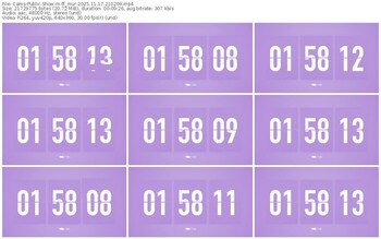 cams-ff_mur-11-17-2025-21-02-09