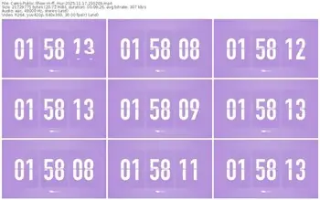 cams-ff_mur-11-17-2025-21-02-09